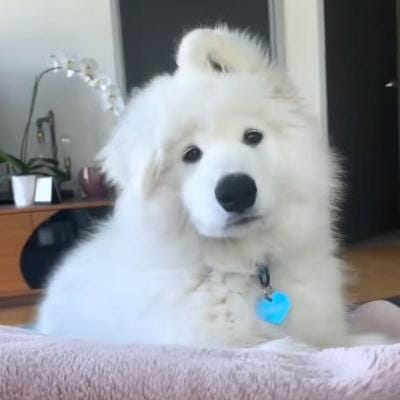 Trần Minh Đạo avatar